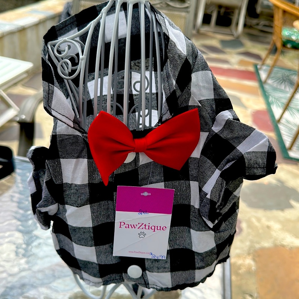Button up bow tie